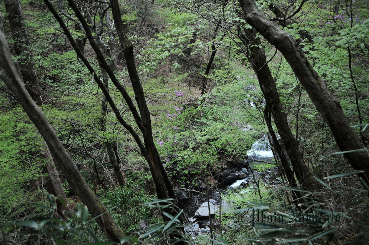 雲取山　日帰り登山